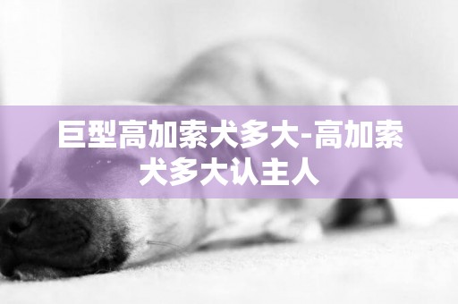 巨型高加索犬多大-高加索犬多大認主人