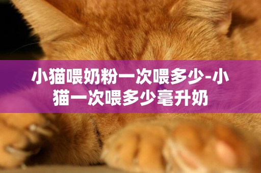 小貓喂奶粉一次喂多少-小貓一次喂多少毫升奶