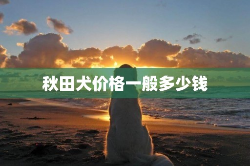 秋田犬價格一般多少錢