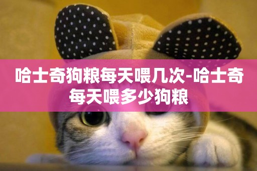 哈士奇狗糧每天喂幾次-哈士奇每天喂多少狗糧