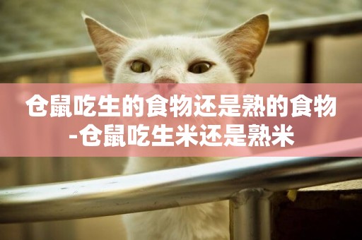 倉鼠吃生的食物還是熟的食物-倉鼠吃生米還是熟米