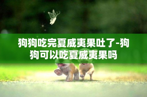 狗狗吃完夏威夷果吐了-狗狗可以吃夏威夷果嗎