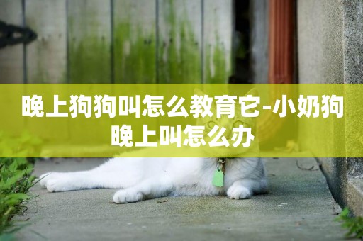 晚上狗狗叫怎么教育它-小奶狗晚上叫怎么辦