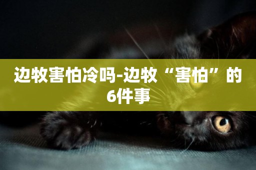 邊牧害怕冷嗎-邊牧“害怕”的6件事