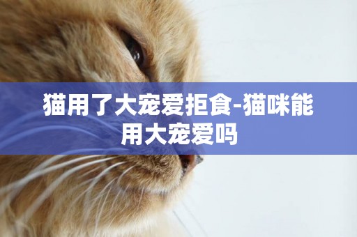 貓用了大寵愛拒食-貓咪能用大寵愛嗎