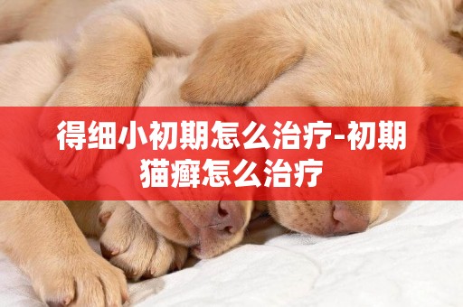 得細小初期怎么治療-初期貓癬怎么治療