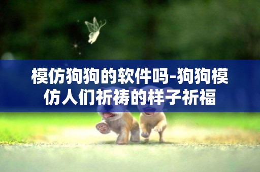 模仿狗狗的軟件嗎-狗狗模仿人們祈禱的樣子祈福