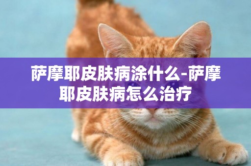 薩摩耶皮膚病涂什么-薩摩耶皮膚病怎么治療