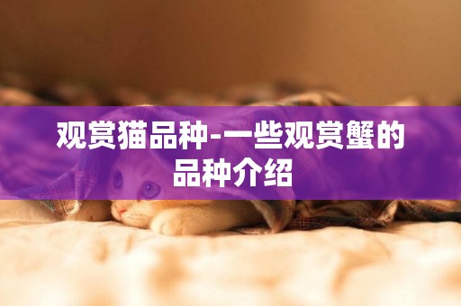 觀賞貓品種-一些觀賞蟹的品種介紹