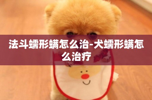 法斗蠕形螨怎么治-犬蠕形螨怎么治療
