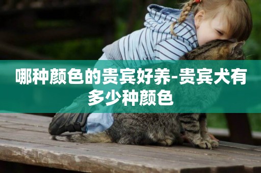 哪種顏色的貴賓好養-貴賓犬有多少種顏色