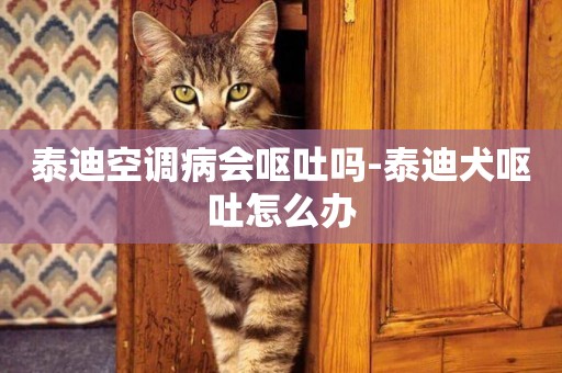 泰迪空調病會嘔吐嗎-泰迪犬嘔吐怎么辦