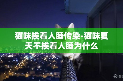 貓咪挨著人睡傳染-貓咪夏天不挨著人睡為什么
