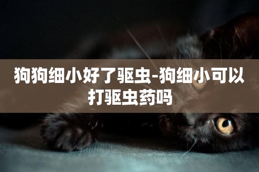 狗狗細小好了驅蟲-狗細小可以打驅蟲藥嗎