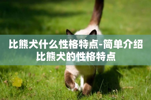 比熊犬什么性格特點-簡單介紹比熊犬的性格特點