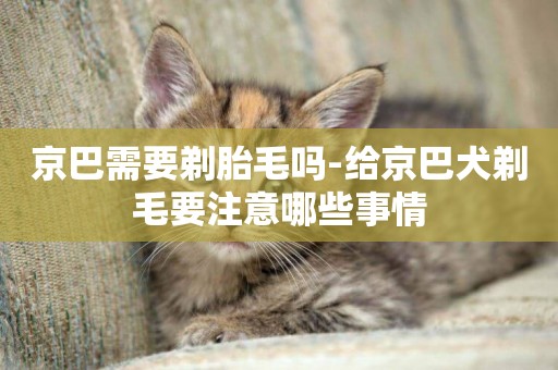 京巴需要剃胎毛嗎-給京巴犬剃毛要注意哪些事情