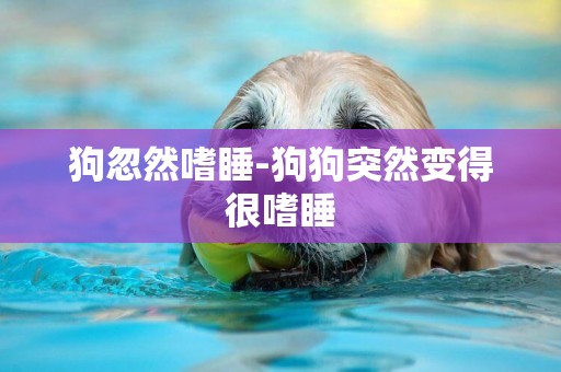 狗忽然嗜睡-狗狗突然變得很嗜睡