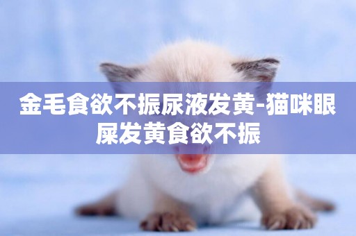 金毛食欲不振尿液發黃-貓咪眼屎發黃食欲不振