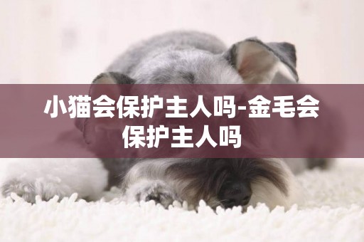 小貓會保護主人嗎-金毛會保護主人嗎