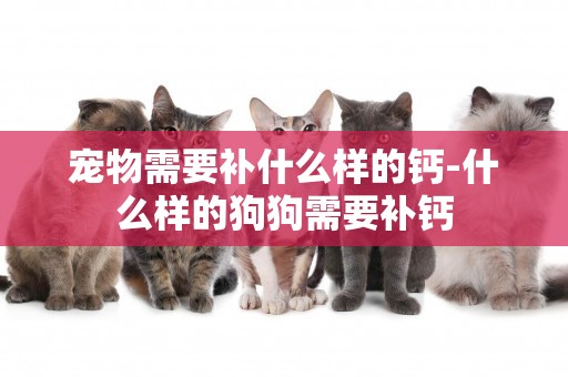 寵物需要補什么樣的鈣-什么樣的狗狗需要補鈣