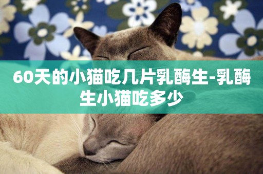 60天的小貓吃幾片乳酶生-乳酶生小貓吃多少