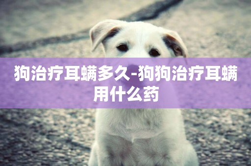狗治療耳螨多久-狗狗治療耳螨用什么藥