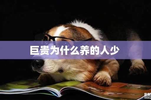 巨貴為什么養的人少 