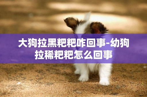 大狗拉黑粑粑咋回事-幼狗拉稀粑粑怎么回事