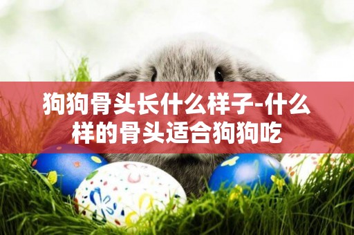 狗狗骨頭長什么樣子-什么樣的骨頭適合狗狗吃