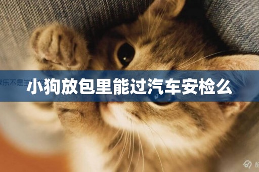 小狗放包里能過汽車安檢么