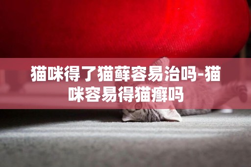 貓咪得了貓蘚容易治嗎-貓咪容易得貓癬嗎