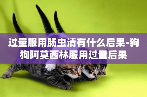 過量服用腸蟲清有什么后果-狗狗阿莫西林服用過量后果