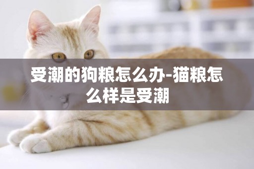 受潮的狗糧怎么辦-貓糧怎么樣是受潮