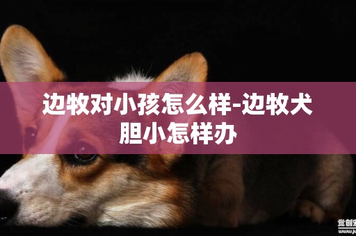 邊牧對小孩怎么樣-邊牧犬膽小怎樣辦