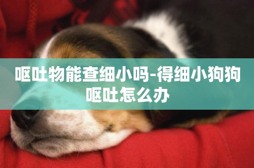 嘔吐物能查細小嗎-得細小狗狗嘔吐怎么辦