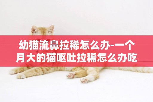 幼貓流鼻拉稀怎么辦-一個月大的貓嘔吐拉稀怎么辦吃什么藥