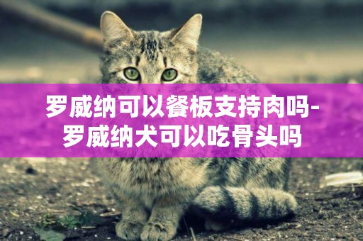 羅威納可以餐板支持肉嗎-羅威納犬可以吃骨頭嗎