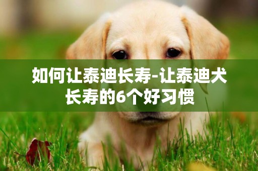 如何讓泰迪長壽-讓泰迪犬長壽的6個好習慣