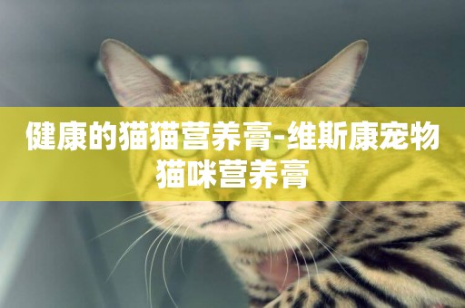 健康的貓貓營養膏-維斯康寵物貓咪營養膏