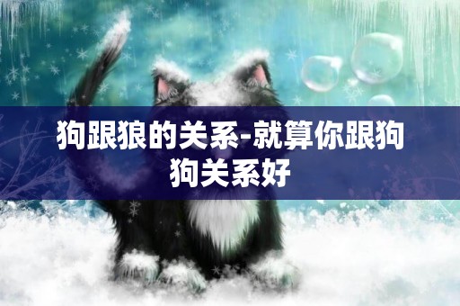 狗跟狼的關系-就算你跟狗狗關系好