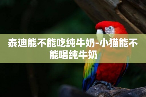 泰迪能不能吃純牛奶-小貓能不能喝純牛奶