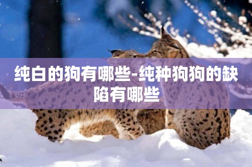 純白的狗有哪些-純種狗狗的缺陷有哪些