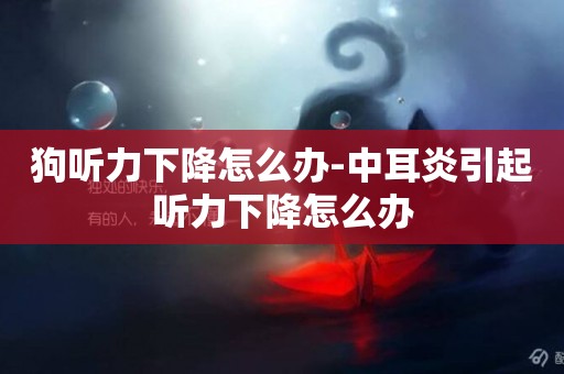 狗聽力下降怎么辦-中耳炎引起聽力下降怎么辦
