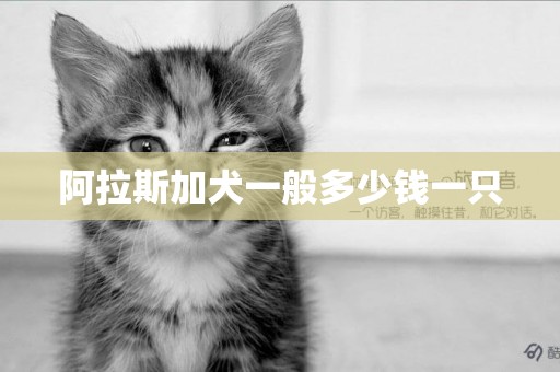 阿拉斯加犬一般多少錢一只