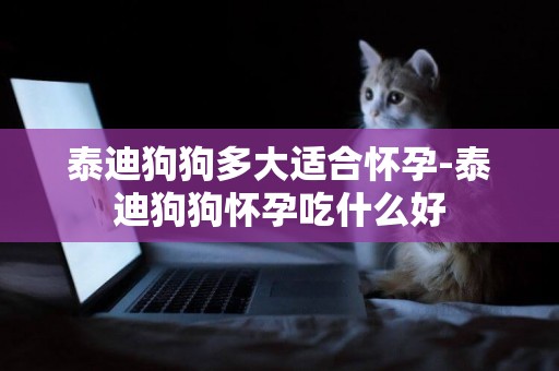 泰迪狗狗多大適合懷孕-泰迪狗狗懷孕吃什么好