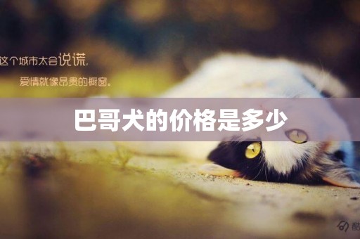巴哥犬的價格是多少