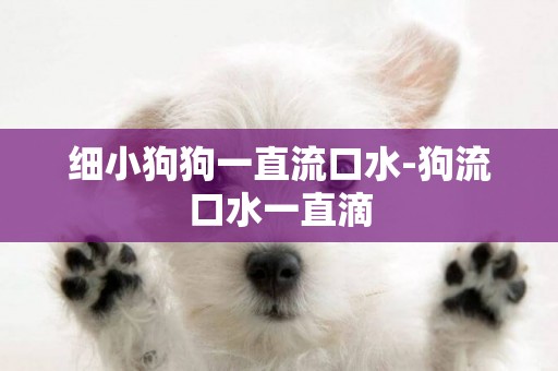 細小狗狗一直流口水-狗流口水一直滴
