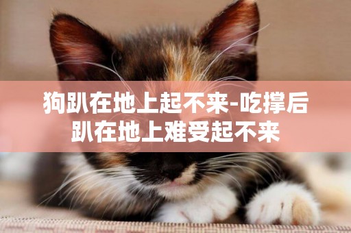 狗趴在地上起不來-吃撐后趴在地上難受起不來