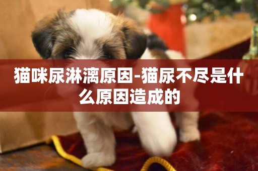 貓咪尿淋漓原因-貓尿不盡是什么原因造成的