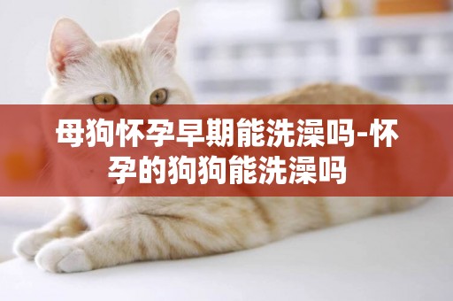 母狗懷孕早期能洗澡嗎-懷孕的狗狗能洗澡嗎